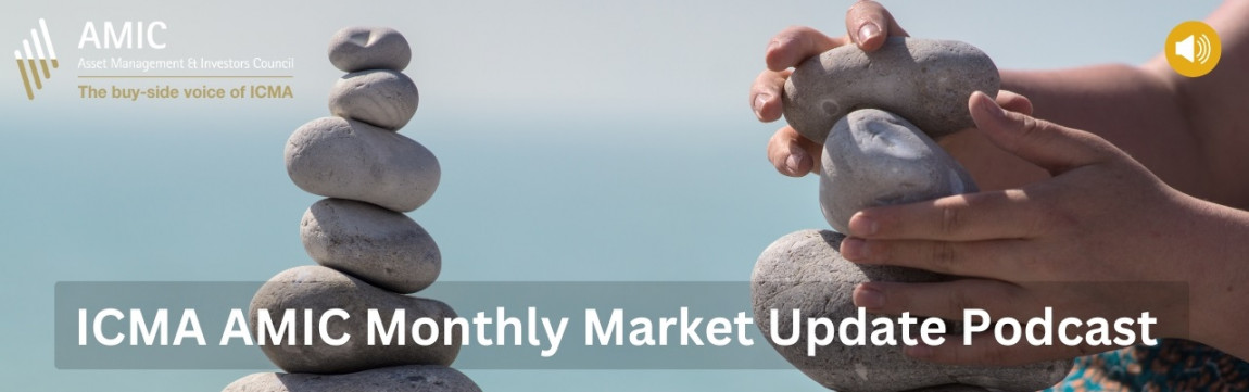 ICMA Asset Management &amp;amp;amp;amp;amp; Investors Council Podcast: Monthly Market Update